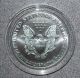 1999 American Eagle Silver Dollar.  999 Silver 1 Oz. ,  Colorized In Case Silver photo 1