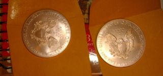 Two Silver Eagle Silver Dollars Bu 2009 photo