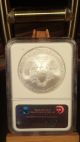 2008 Silver Eagle Ngc Ms69 Early Releases Silver photo 1