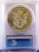 2011 - W American Eagle Silver Pcgs ' Secure Plus ' Coin Ms69 24576235 Silver photo 1