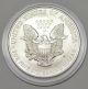 2000 Colorized Silver American Eagle 1oz Coin In Clear Plastic Capsule Silver photo 1