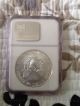 2002 American Silver Eagle Ngc Ms 69 Regular Brown Label Silver photo 3