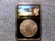 2013 Burnished W Early Release Silver Eagle Ms70 Silver photo 1