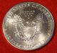 American Silver Eagle 2001 Dollar 1 Oz.  999% Bu Great Collector Coin Gift Silver photo 1
