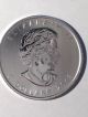 2013 Canada 1 Oz.  9999 Silver Maple Leaf Fv $5 Bullion Coin Silver photo 1