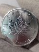 2013 Canada 1 Oz.  9999 Silver Maple Leaf Fv $5 Bullion Coin Silver photo 2