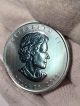 2013 Canada 1 Oz.  9999 Silver Maple Leaf Fv $5 Bullion Coin Silver photo 7