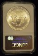 1989 Us Silver American Eagle.  Ngc Ms 69.  1 Troy Oz. .  9999 Fine. Silver photo 1