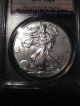 2011 W Pcgs Ms70 Silver Eagle.  Silver Coin.  Blast White. Silver photo 2