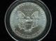 2013 American Eagle Silver Dollar 1 Troy Oz.  999 Fine Silver Low Opening Bid Silver photo 1