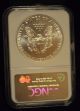 1993 Us Silver American Eagle.  Ngc Ms 69.  1 Troy Oz. .  9999 Fine. Silver photo 1