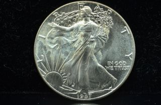1987 American Eagle Silver Dollar 1 Troy Oz.  999 Fine Silver Low Opening Bid photo
