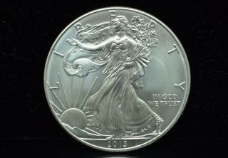 2013 American Eagle Silver Dollar 1 Troy Oz.  999 Fine Silver Low Opening Bid photo