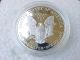 1995 P Proof 1 Ounce American Eagle Silver Bullion $1 Coin W/ Box & Silver photo 2