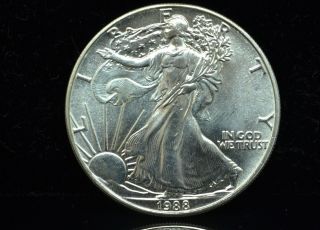 1988 American Eagle Silver Dollar 1 Troy Oz.  999 Fine Silver Low Opening Bid photo