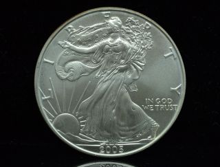 2005 American Eagle Silver Dollar 1 Troy Oz.  999 Fine Silver Low Opening Bid photo