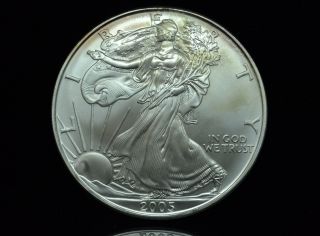 2005 American Eagle Silver Dollar 1 Troy Oz.  999 Fine Silver Low Opening Bid photo