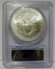 2013 - S United States Silver Eagle - - - Pcgs Ms - 69 - - First Strike Silver photo 1