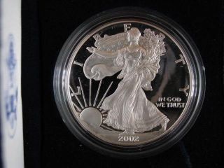 2002w Silver Eagle Proof Coin photo