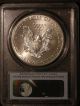 2012 (w) Pcgs Ms70 American Silver Eagle Struck At The West Point F/strike Silver photo 1
