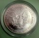1999 American Eagle Walking Liberty Gem Colorized 1 Oz Pure Silver Silver photo 1