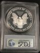 1986 S Proof American Silver Eagle Coin Pcgs Pr69 Dam 6890 Silver photo 2