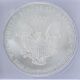 2008 American Silver Eagle Icg Ms69 S$1 Silver Silver photo 2