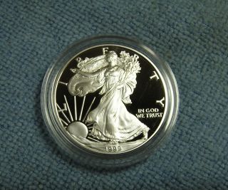 1999 - P Proof American Silver Eagle. . . . . . . . . . . . . . . . . .  Gem Proof photo