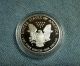 1999 - P Proof American Silver Eagle. . . . . . . . . . . . . . . . . .  Gem Proof Silver photo 1