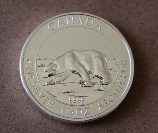 2013 Canadian 1.  5 Oz Silver Polar Bear Coin $8 - 9999 Fine Silver photo