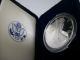 American Eagle 1 Oz Proof Silver Bullion Coin 2001 W Silver photo 1