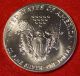 American Silver Eagle 1988 Dollar 1 Oz.  999% Bu Great Collector Coin Gift Silver photo 1