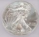2013 American Silver Eagle Dollar - Icg Ms70 /7781 Silver photo 1