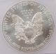 2013 American Silver Eagle Dollar - Icg Ms70 /7781 Silver photo 2