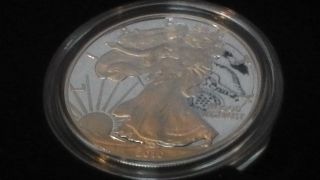 2010 American Eagle One Ounce Silver Proof Coin photo