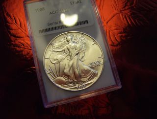 1 - 1988 American Silver Eagle -.  999 Fine Silver - Acc - Unc.  - Sharp photo