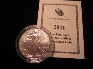 2011w Silver American Eagle Burnished photo