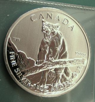 Canadian Wildlife Silver One Ounce ' 2012 ' Coin Mountain Lion/cougar photo