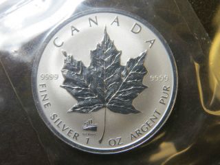 1998 1 Oz Silver Maple Leaf Privy Mark Coin Titanic Proof $5 Canada photo