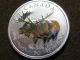2012 1 Oz Moose Silver Maple Leaf Coin $5 Canadian Wildlife Canada 9999 Silver photo 4