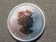2012 1 Oz Moose Silver Maple Leaf Coin $5 Canadian Wildlife Canada 9999 Silver photo 7
