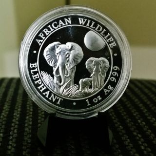 Coin Case 2014 African Wildlife Somalia Elephant.  999 Pure Silver Coin photo