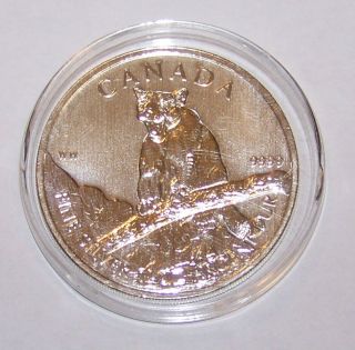 2012 1 Oz.  Bu Canada Cougar Wildlife Series $5 Coin photo