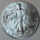 2002 $1 Silver American Eagle,  (j230) Silver photo 2