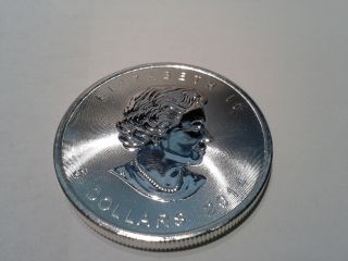 2014.  9999 Fine Silver Canadian Maple Leaf – Maple Leaf Privy photo