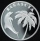 Sarasota Silver Coin 1 Troy Ounce.  999 Silver Limited Edition Art Round Florida Silver photo 1