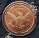 1 Oz U.  S.  A.  American Copper Pandas Obverse Eagle Reverse Coin In Airtite Silver photo 1
