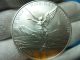 2013 Mexican Libertad Coin (round).  999 Pure Fine Silver 1 Oz (31.  1g) Silver photo 1