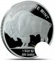 2013 Buffalo Indian Silver Coin In Capsul - 1 Oz -.  999 Pure Silver - Silver photo 1
