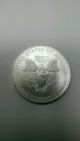 2008 Bu American Silver Eagle Dollar - Usa Made 1 Oz.  999 Silver Coin Silver photo 1